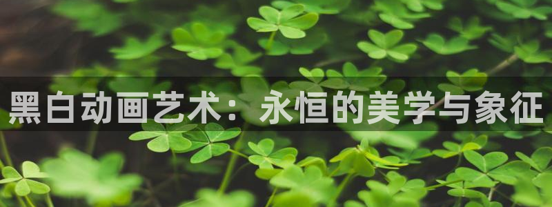 动漫天堂奇幻动漫:黑白动画艺术:永恒的美学与象征配图