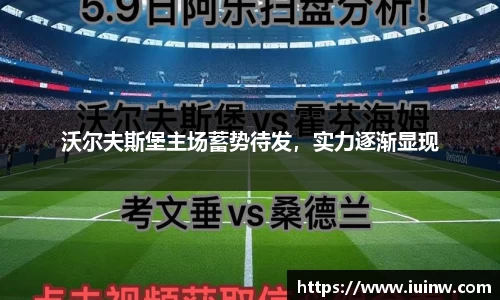 沃尔夫斯堡主场蓄势待发，实力逐渐显现