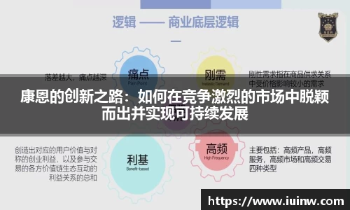 康恩的创新之路：如何在竞争激烈的市场中脱颖而出并实现可持续发展
