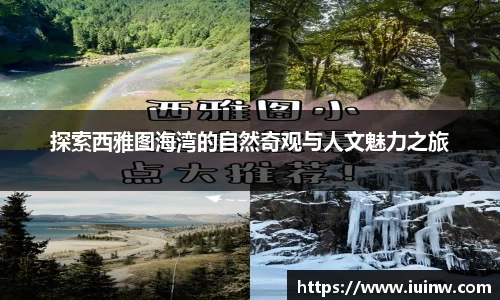 探索西雅图海湾的自然奇观与人文魅力之旅