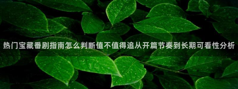 动漫天堂今日更新:热门宝藏番剧指南怎么判断值不值得追从开篇节奏到长期可看性分析配图