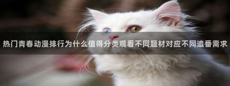 动漫天堂动漫最新更新:热门青春动漫排行为什么值得分类观看不同题材对应不同追番需求配图