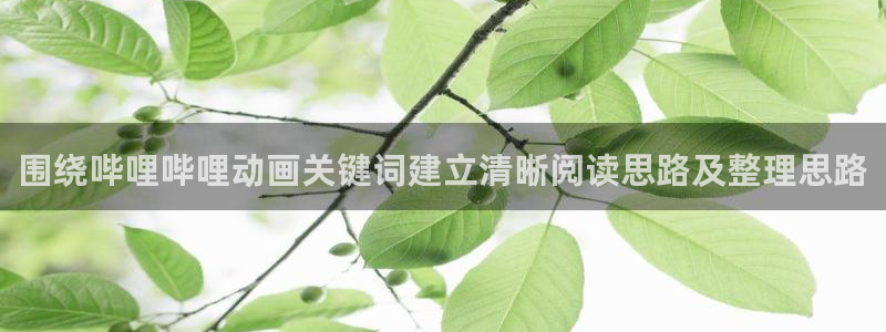 动漫天堂最新连载:围绕哔哩哔哩动画关键词建立清晰阅读思路及整理思路配图