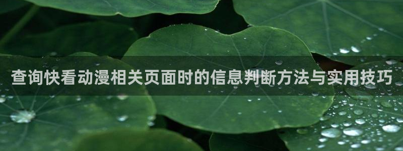 动漫天堂最新更新:查询快看动漫相关页面时的信息判断方法与实用技巧配图