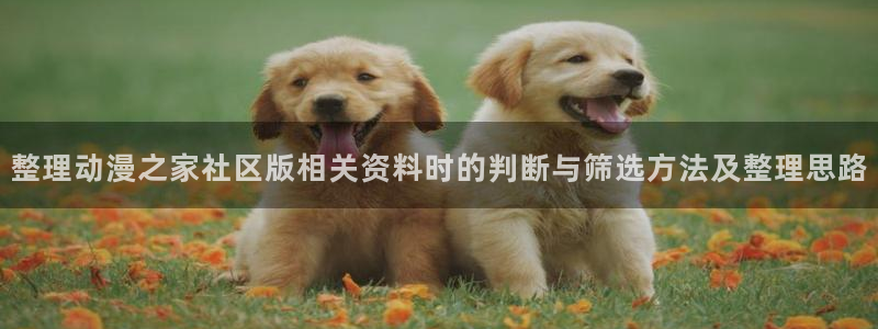 动漫天堂精选推荐:整理动漫之家社区版相关资料时的判断与筛选方法及整理思路配图