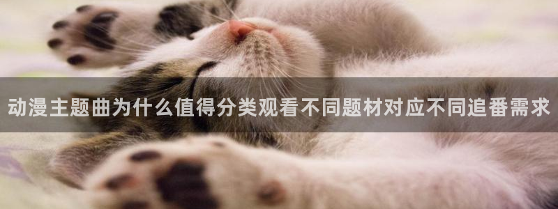 动漫天堂热门新作:动漫主题曲为什么值得分类观看不同题材对应不同追番需求配图