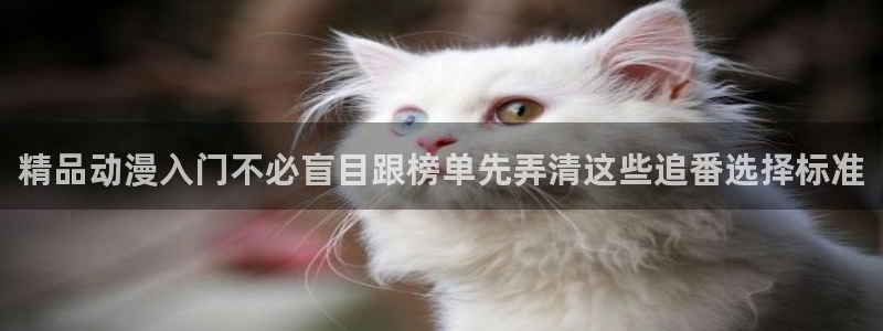动漫天堂人气动漫:精品动漫入门不必盲目跟榜单先弄清这些追番选择标准配图