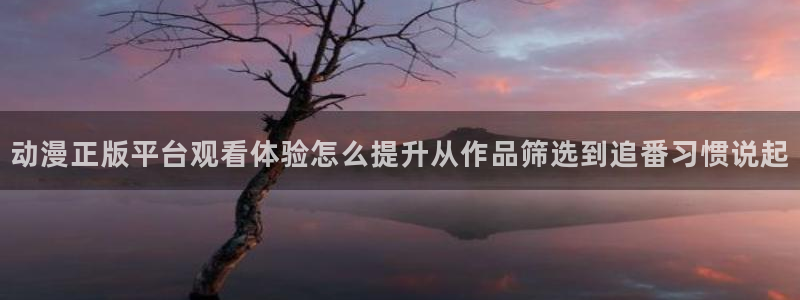 动漫天堂在线动漫：动漫正版平台观看体验怎么提升从作品筛选到追番习惯说起配图