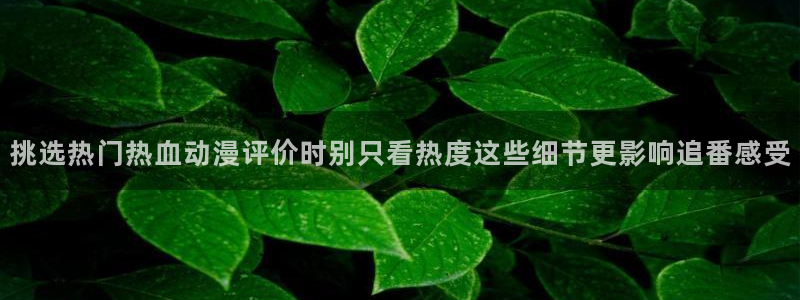 动漫天堂今日排行:挑选热门热血动漫评价时别只看热度这些细节更影响追番感受配图